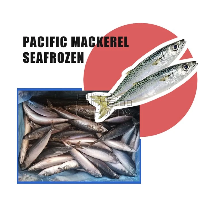 IQF Frozen Pacific Mackerel